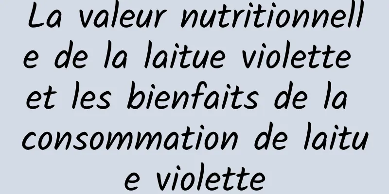 La valeur nutritionnelle de la laitue violette et les bienfaits de la consommation de laitue violette