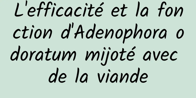 L'efficacité et la fonction d'Adenophora odoratum mijoté avec de la viande