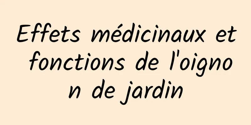 Effets médicinaux et fonctions de l'oignon de jardin