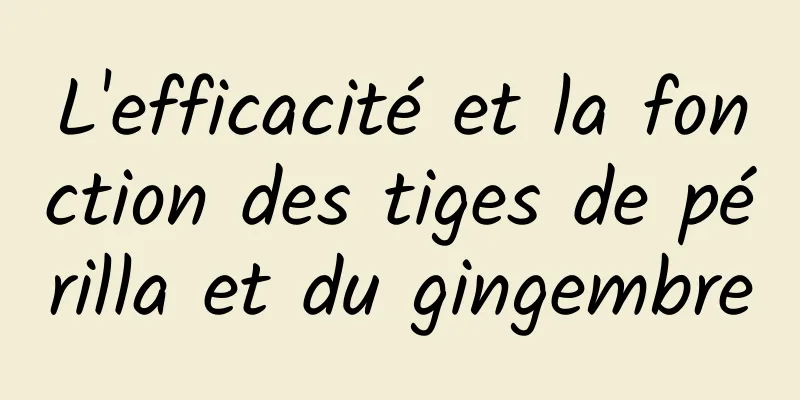 L'efficacité et la fonction des tiges de périlla et du gingembre