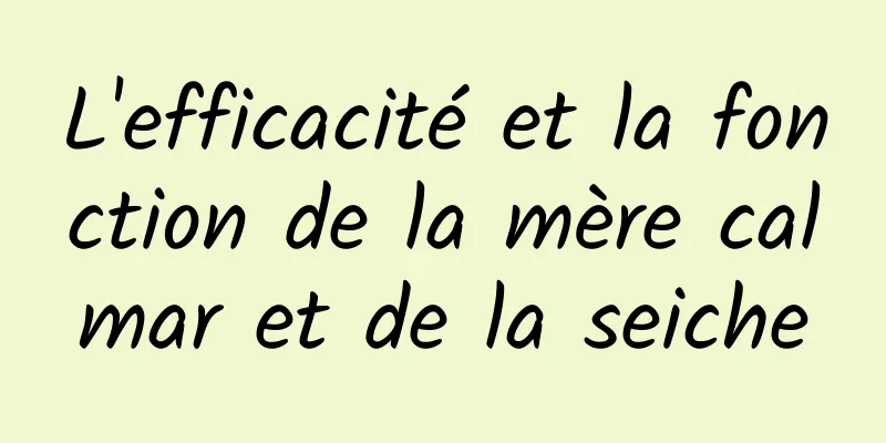 L'efficacité et la fonction de la mère calmar et de la seiche