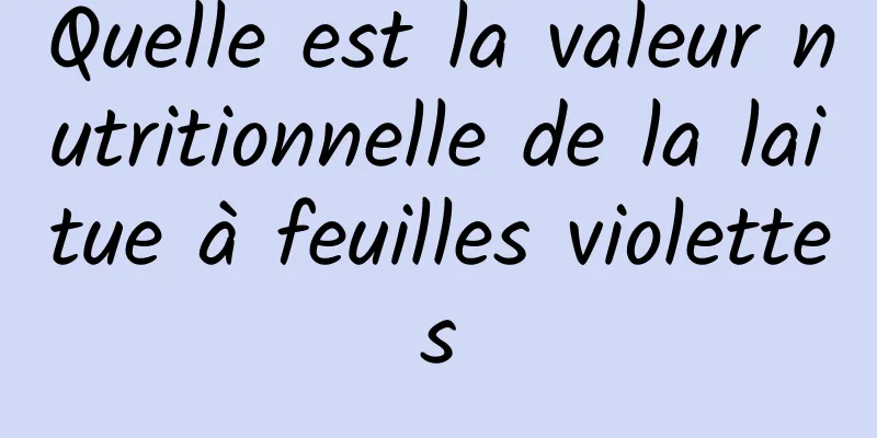 Quelle est la valeur nutritionnelle de la laitue à feuilles violettes