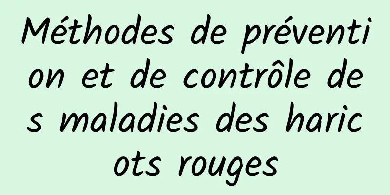 Méthodes de prévention et de contrôle des maladies des haricots rouges