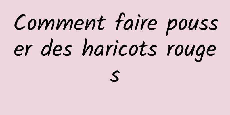 Comment faire pousser des haricots rouges