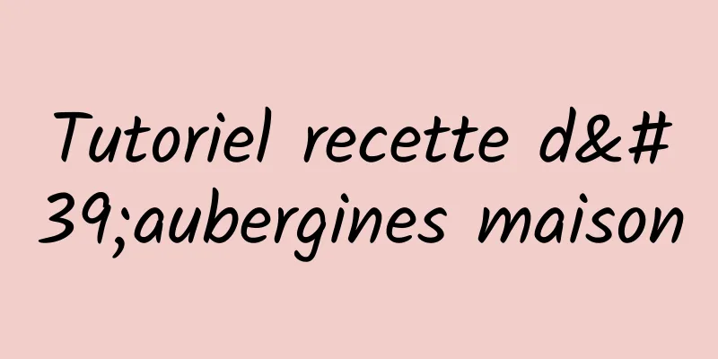 Tutoriel recette d'aubergines maison