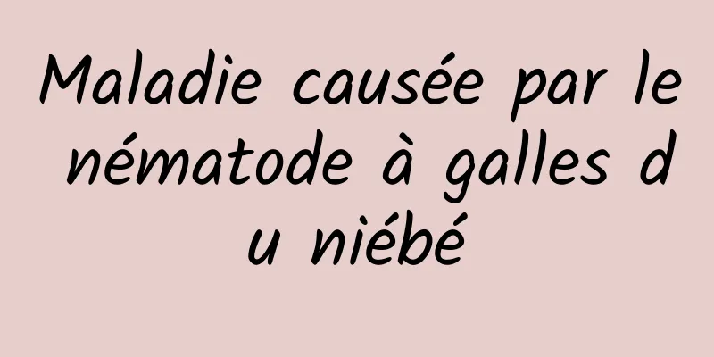 Maladie causée par le nématode à galles du niébé