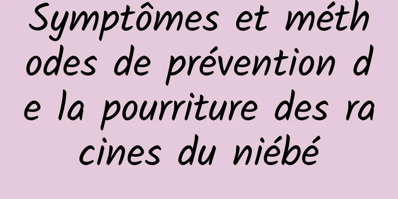 Symptômes et méthodes de prévention de la pourriture des racines du niébé