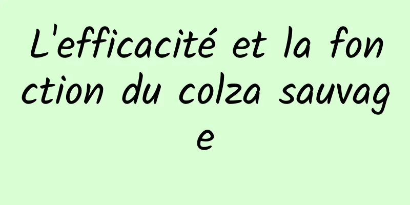 L'efficacité et la fonction du colza sauvage