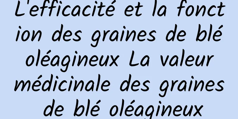 L'efficacité et la fonction des graines de blé oléagineux La valeur médicinale des graines de blé oléagineux