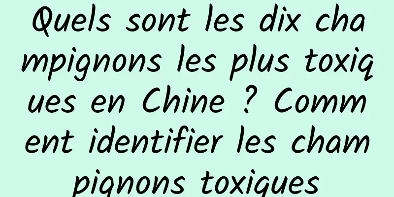 Quels sont les dix champignons les plus toxiques en Chine ? Comment identifier les champignons toxiques