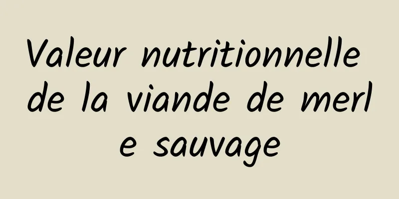 Valeur nutritionnelle de la viande de merle sauvage