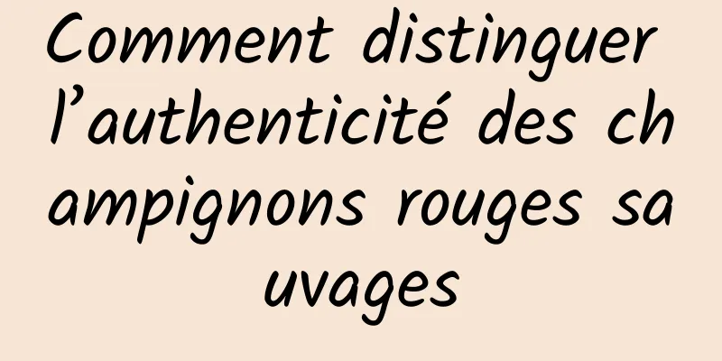 Comment distinguer l’authenticité des champignons rouges sauvages