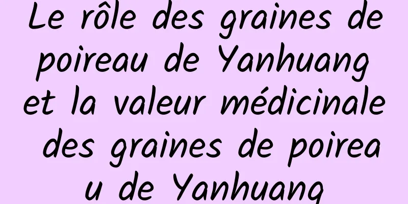 Le rôle des graines de poireau de Yanhuang et la valeur médicinale des graines de poireau de Yanhuang