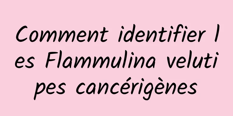 Comment identifier les Flammulina velutipes cancérigènes