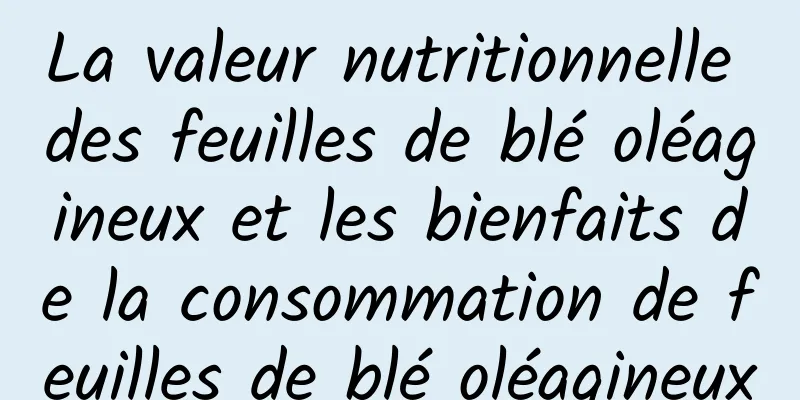 La valeur nutritionnelle des feuilles de blé oléagineux et les bienfaits de la consommation de feuilles de blé oléagineux