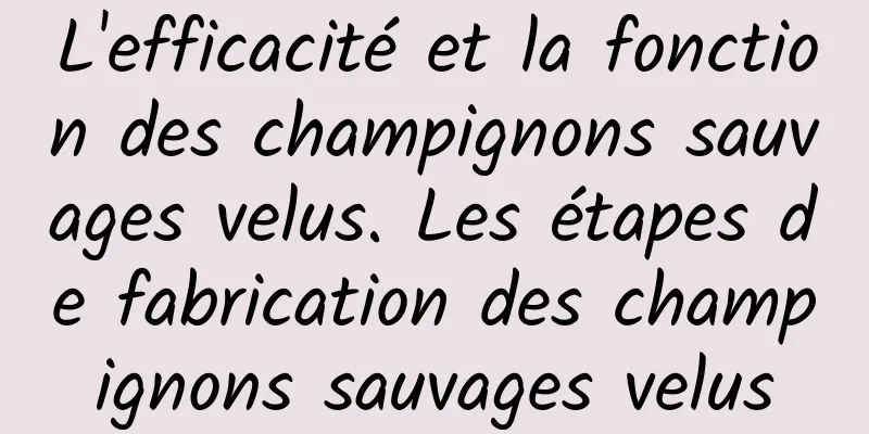 L'efficacité et la fonction des champignons sauvages velus. Les étapes de fabrication des champignons sauvages velus