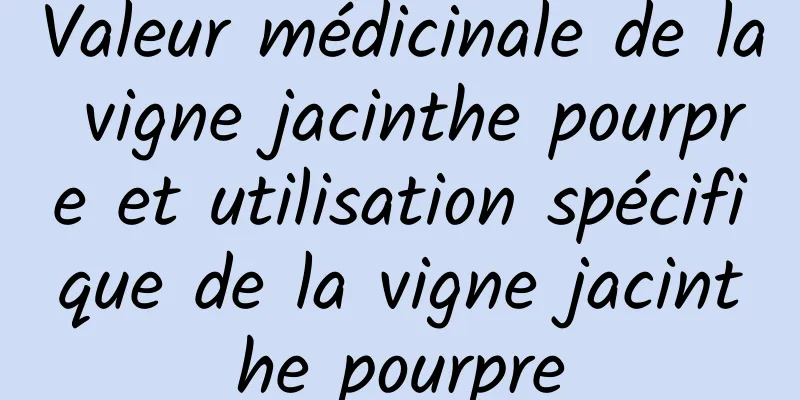 Valeur médicinale de la vigne jacinthe pourpre et utilisation spécifique de la vigne jacinthe pourpre