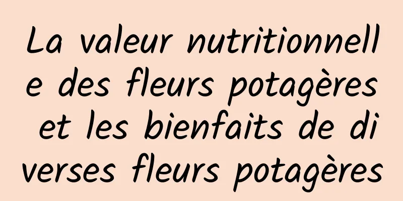 La valeur nutritionnelle des fleurs potagères et les bienfaits de diverses fleurs potagères