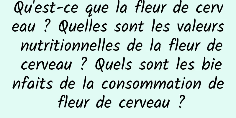 Qu'est-ce que la fleur de cerveau ? Quelles sont les valeurs nutritionnelles de la fleur de cerveau ? Quels sont les bienfaits de la consommation de fleur de cerveau ?