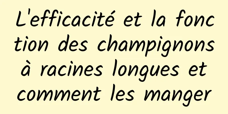 L'efficacité et la fonction des champignons à racines longues et comment les manger