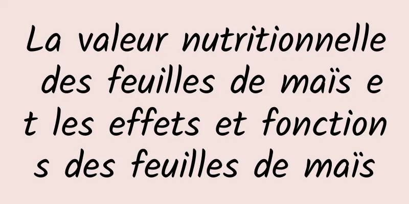 La valeur nutritionnelle des feuilles de maïs et les effets et fonctions des feuilles de maïs