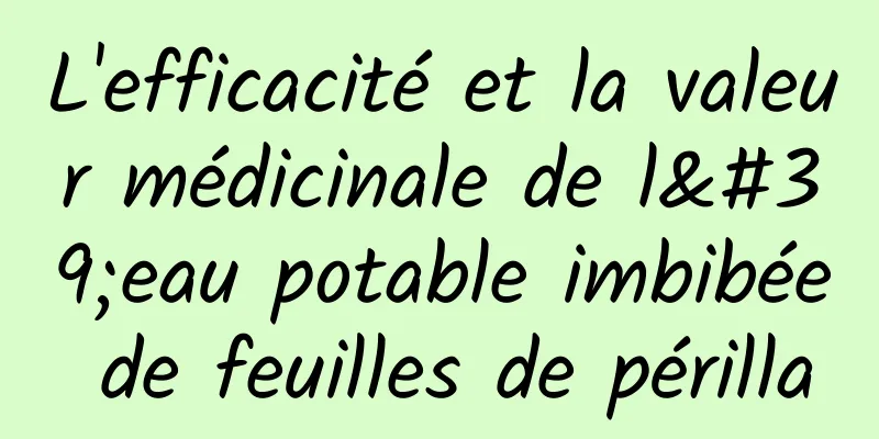 L'efficacité et la valeur médicinale de l'eau potable imbibée de feuilles de périlla