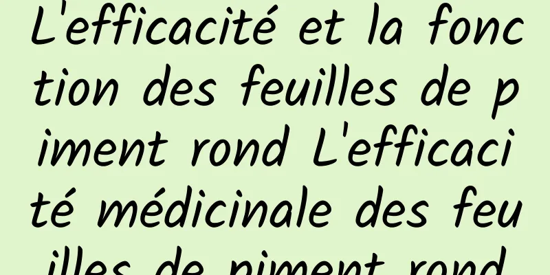 L'efficacité et la fonction des feuilles de piment rond L'efficacité médicinale des feuilles de piment rond