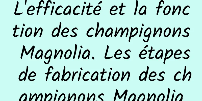 L'efficacité et la fonction des champignons Magnolia. Les étapes de fabrication des champignons Magnolia