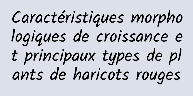 Caractéristiques morphologiques de croissance et principaux types de plants de haricots rouges