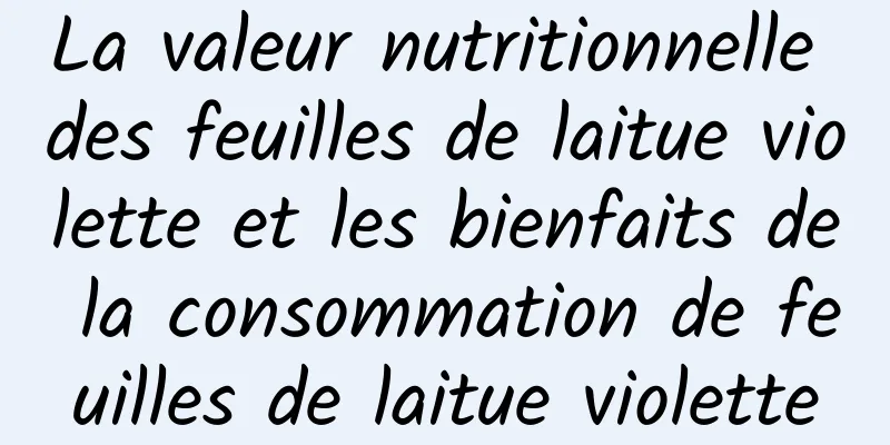 La valeur nutritionnelle des feuilles de laitue violette et les bienfaits de la consommation de feuilles de laitue violette