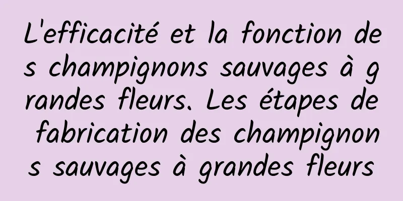 L'efficacité et la fonction des champignons sauvages à grandes fleurs. Les étapes de fabrication des champignons sauvages à grandes fleurs