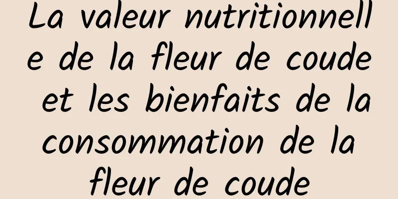 La valeur nutritionnelle de la fleur de coude et les bienfaits de la consommation de la fleur de coude