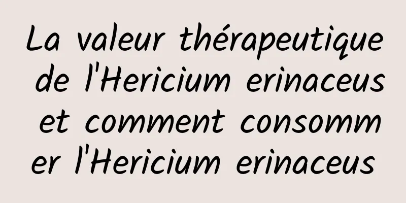 La valeur thérapeutique de l'Hericium erinaceus et comment consommer l'Hericium erinaceus