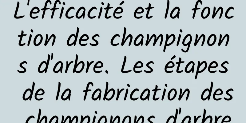 L'efficacité et la fonction des champignons d'arbre. Les étapes de la fabrication des champignons d'arbre