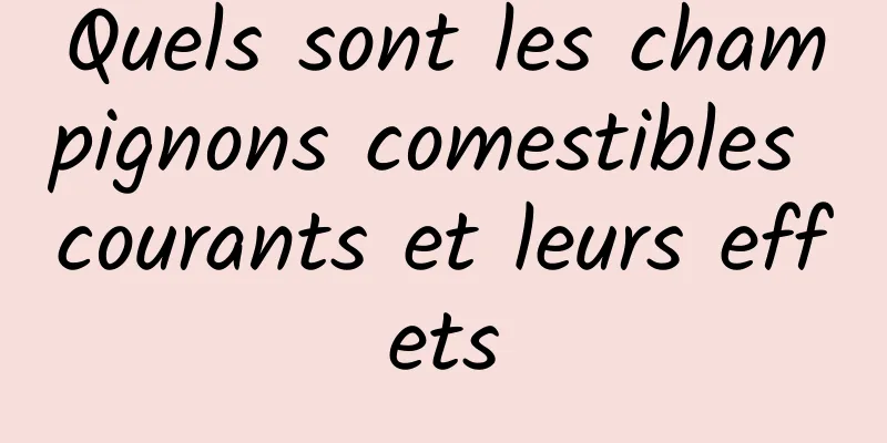 Quels sont les champignons comestibles courants et leurs effets