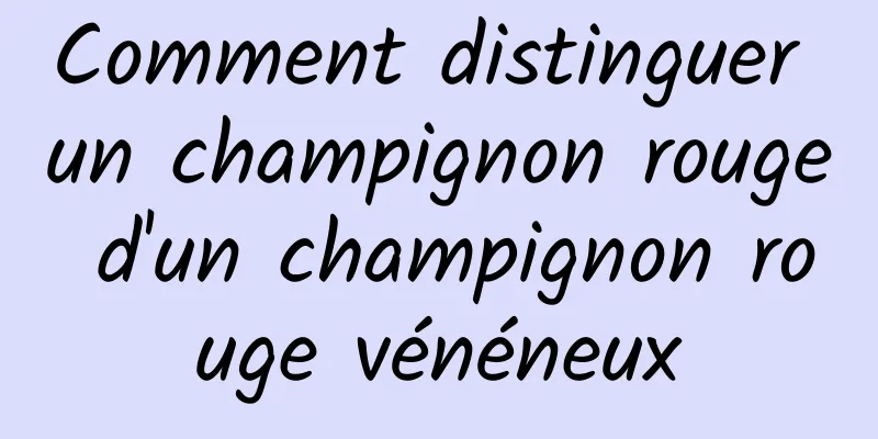 Comment distinguer un champignon rouge d'un champignon rouge vénéneux