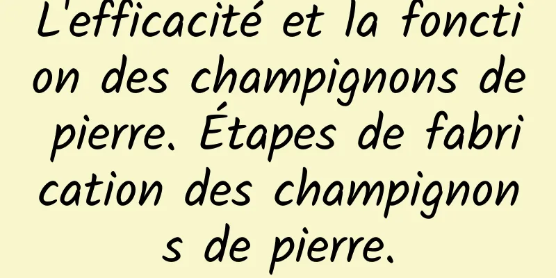 L'efficacité et la fonction des champignons de pierre. Étapes de fabrication des champignons de pierre.