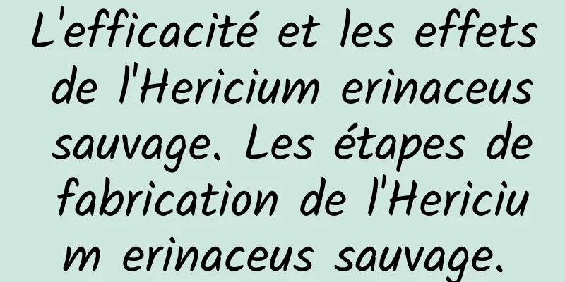 L'efficacité et les effets de l'Hericium erinaceus sauvage. Les étapes de fabrication de l'Hericium erinaceus sauvage.