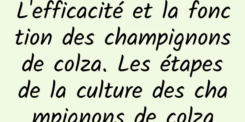 L'efficacité et la fonction des champignons de colza. Les étapes de la culture des champignons de colza