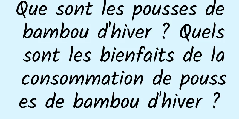 Que sont les pousses de bambou d'hiver ? Quels sont les bienfaits de la consommation de pousses de bambou d'hiver ?