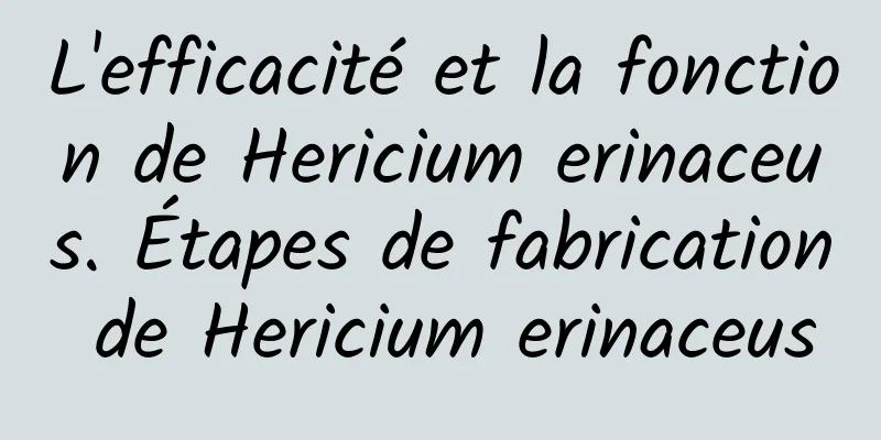 L'efficacité et la fonction de Hericium erinaceus. Étapes de fabrication de Hericium erinaceus