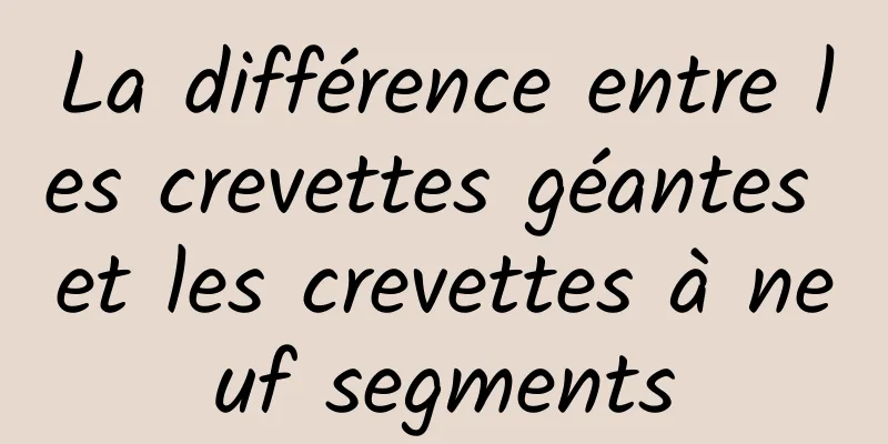 La différence entre les crevettes géantes et les crevettes à neuf segments