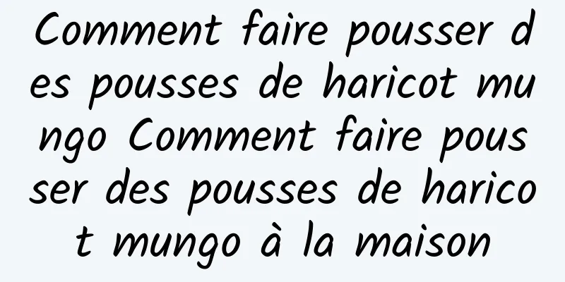 Comment faire pousser des pousses de haricot mungo Comment faire pousser des pousses de haricot mungo à la maison