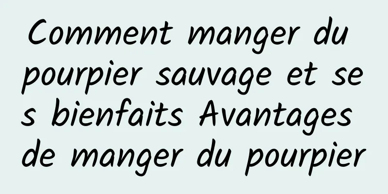 Comment manger du pourpier sauvage et ses bienfaits Avantages de manger du pourpier