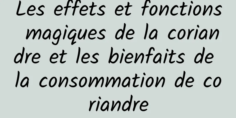 Les effets et fonctions magiques de la coriandre et les bienfaits de la consommation de coriandre