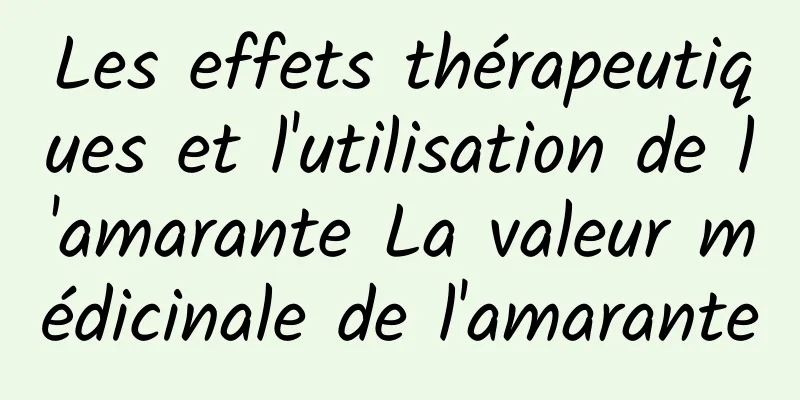 Les effets thérapeutiques et l'utilisation de l'amarante La valeur médicinale de l'amarante