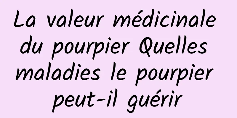 La valeur médicinale du pourpier Quelles maladies le pourpier peut-il guérir