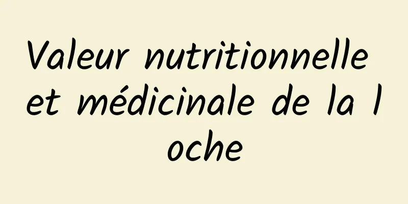 Valeur nutritionnelle et médicinale de la loche