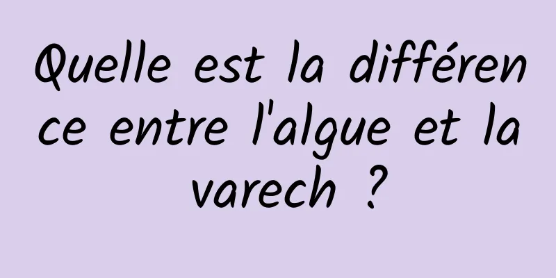 Quelle est la différence entre l'algue et la varech ?