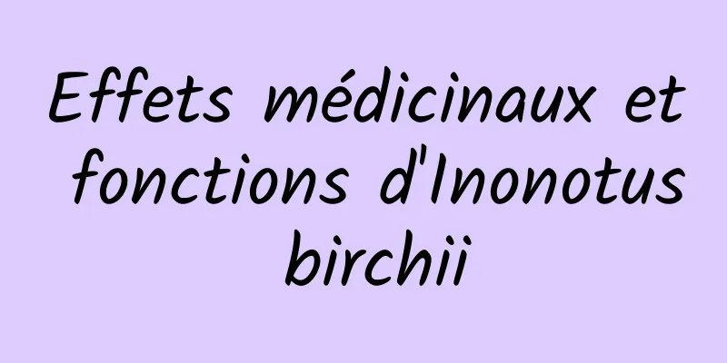 Effets médicinaux et fonctions d'Inonotus birchii